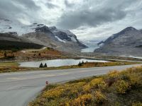 Weiter geht es zum Athasbasca Gletscher