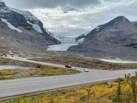 Willkommen am Athasbasca Gletscher / Columbia Icefield