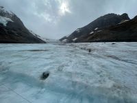 Fahrt auf den Athasbasca Gletscher / Columbia Icefield