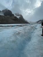 Athasbasca Gletscher / Columbia Icefield