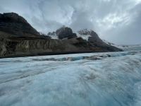 Athasbasca Gletscher / Columbia Icefield