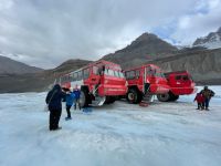 Athasbasca Gletscher / Columbia Icefield
