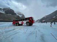 Athasbasca Gletscher / Columbia Icefield