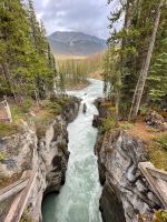 Fotostopp an den Sunwapta Wasserfällen