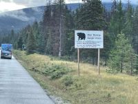 Fahrt in den Jasper Nationalpark - Bärenhinweisschild