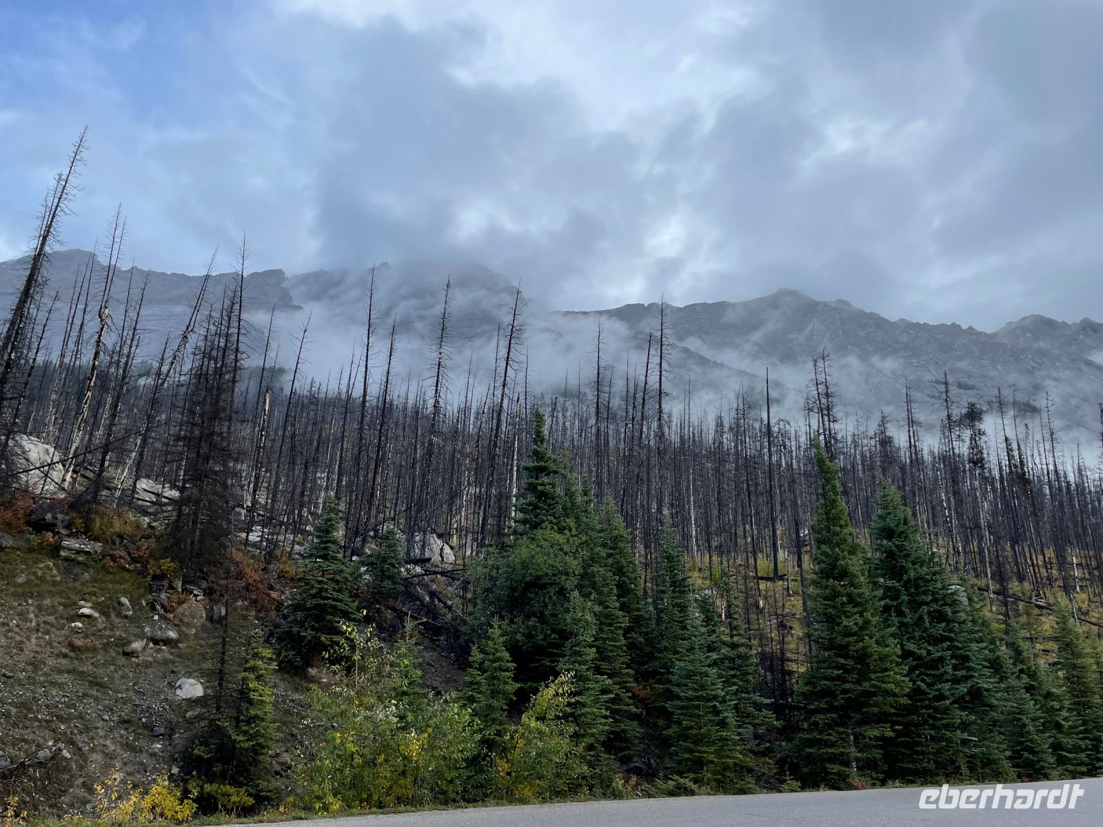 Fotostopp am Madison Lake