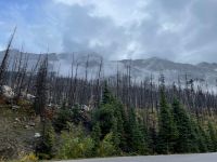 Fotostopp am Madison Lake