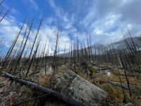 Fotostopp am Madison Lake