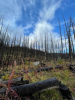 Fotostopp am Madison Lake