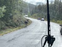 Fahrt zum Maligne Lake 