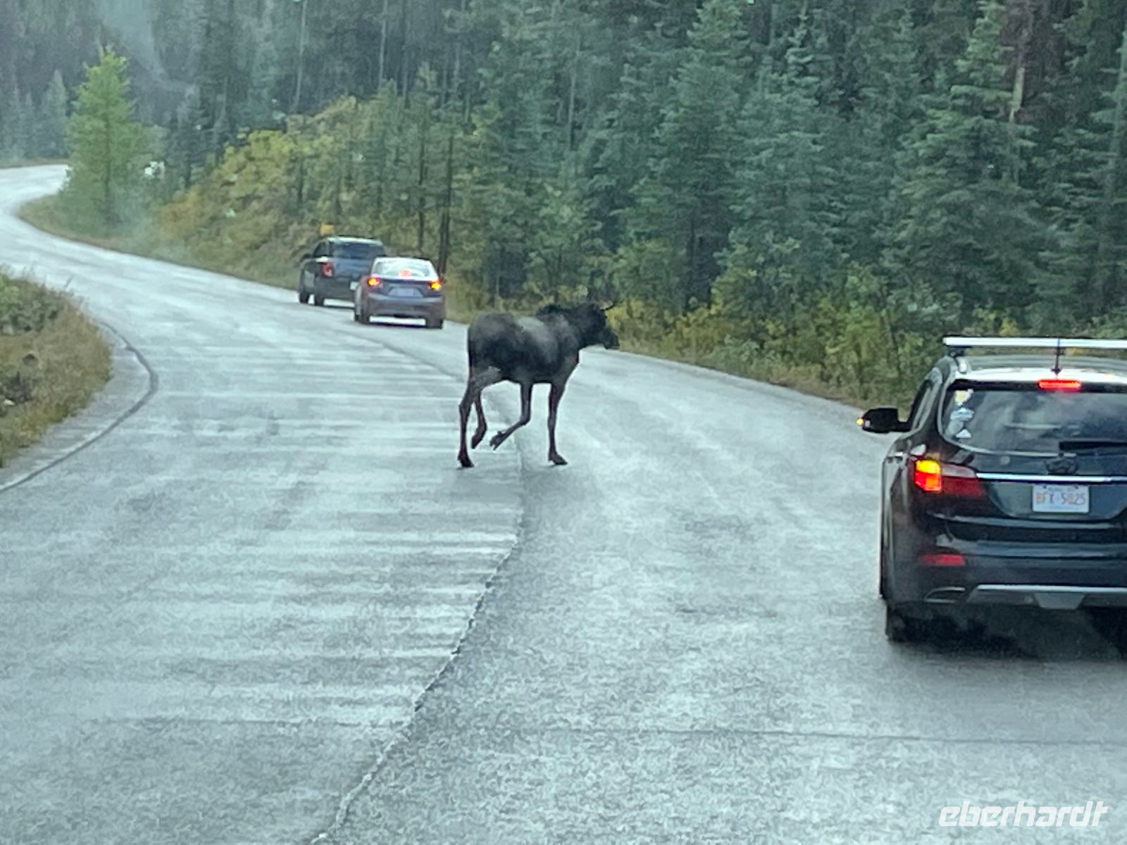 Fahrt zum Maligne Lake 