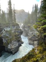 Rundgang an den Athabasca Wasserfällen