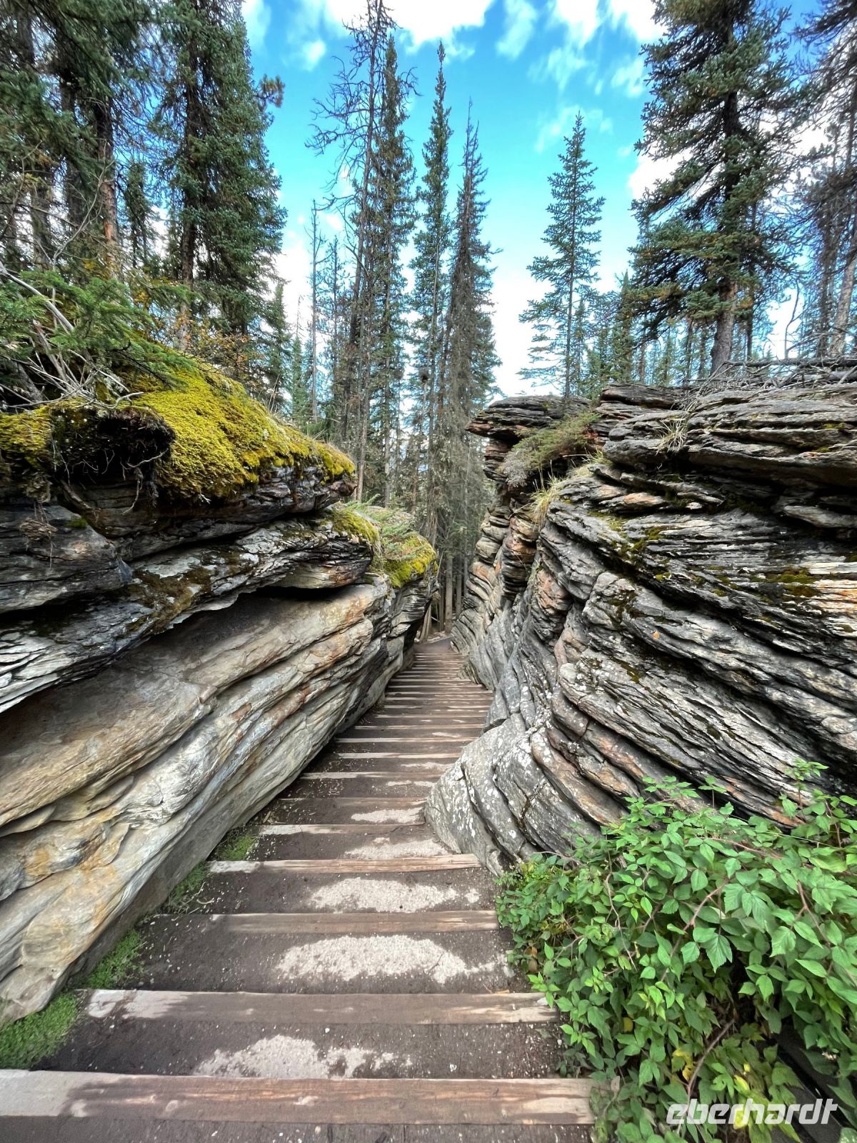 Rundgang an den Athabasca Wasserfällen
