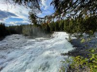 Besuch des Dawson Wasserfalls