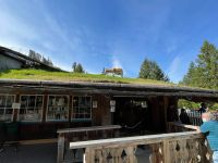 Mittagspause im Hippie Ort Cooms - Ziegen auf dem Dach