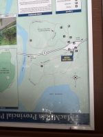 Spaziergang im Mc Millian Provincial Park