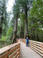 Spaziergang im Mc Millian Provincial Park