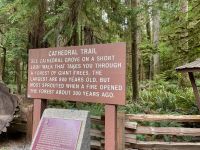 Spaziergang im Mc Millian Provincial Park