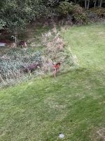 Tsa Kwa Luten  Lodge