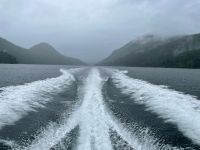 Bootsfahrt zur Bärenbeobachtung 