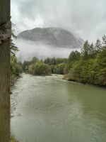 Bärenbeobachtungstour