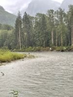 Bärenbeobachtungstour