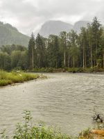 Bärenbeobachtungstour