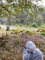 Bärenbeobachtungstour