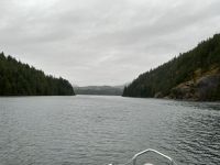 Bärenbeobachtungstour