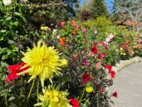 Spaziergang im Butchart Garden