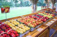 22 Walkers Obstgeschäft