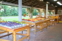 24 Walkers Obstgeschäft