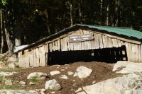 77  Wildschwein Unterkunft