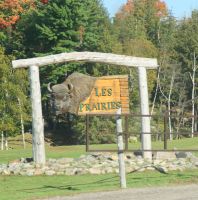 78  Die Prärie beginnt