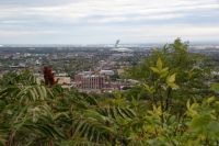 104 Ausblick auf Olympiastadion