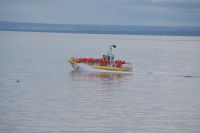 169 Whale Watchin Tadoussac