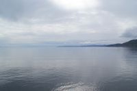 177 Whale Watching Tadoussac