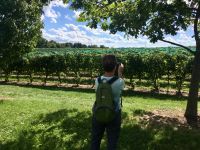 Im Weingut bei einer Weinverkostung in Niagara on the Lake