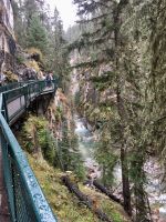 Steg bei Johnston Canyon im Banff National Park