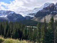 Der Crowfoot Gletscher auf der Gletscherstrasse