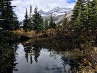 Spiegelung in den Rockies