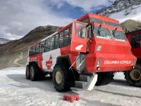 mit diesem Gletscherfahrzeug fahren wir auf einen Gletscher des Colomia Eisfeldes