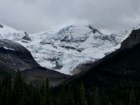 Der Maligne Gletscher lugt auf seinen See
