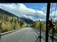Elchi, unser Maskottchen faehrt im Bus mit