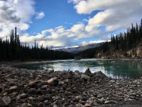 Szene in Jasper National Park