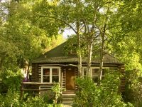 Ein altes Homestaed in Jasper