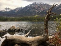 Auf Wiedersehen ihr schoenen Rocky Mountains 