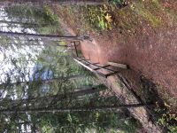Robson Fluss Steig bei Mount Robson