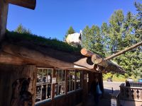 Mittagspause beim Markt in Coombs mit den Ziegen auf dem Dach
