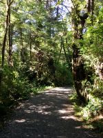 Ein schoener Spazierweg laedt ein. Bei Ucuelet